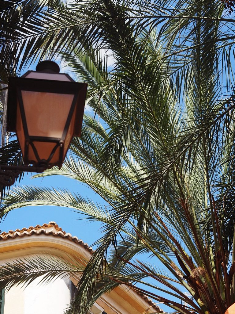 I absolut laveste gear på Mallorca 10 I absolut laveste gear på Mallorca 9